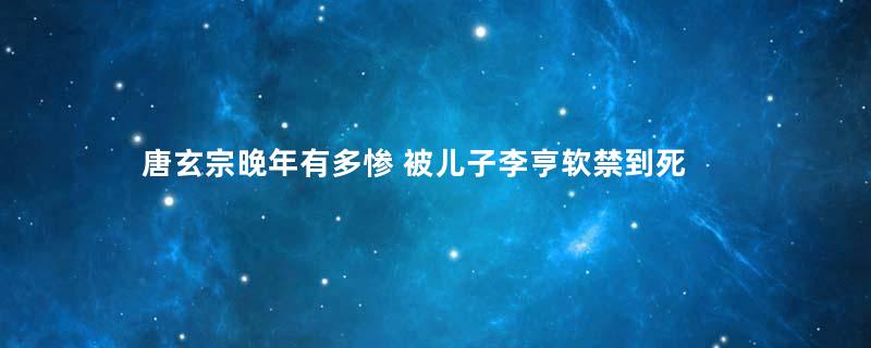 唐玄宗晚年有多惨 被儿子李亨软禁到死